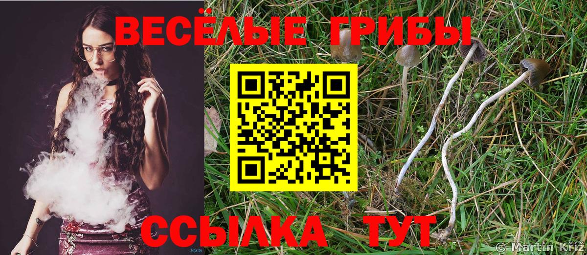 Псилоцибиновые грибы Psilocybine cubensis  Вход с VPN  Югорск 