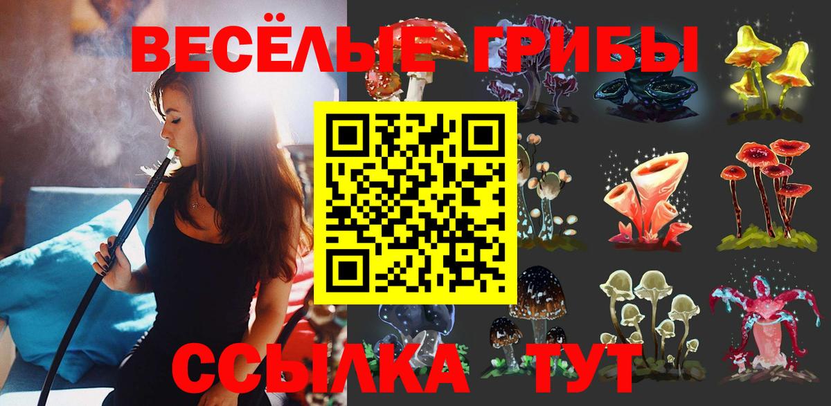 Псилоцибиновые грибы GOLDEN TEACHER Югорск