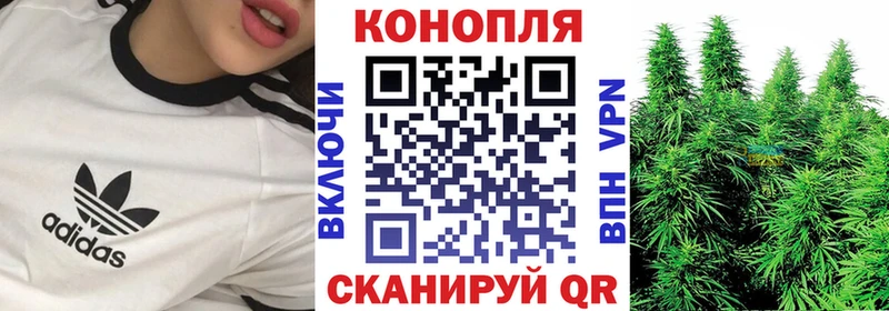 Каннабис планчик  Югорск 